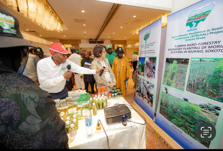 World Bank Commends ACReSAL Project for Massive Restoration of Land in Northern Nigeria