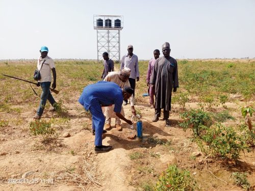 Watershed Restoration 4