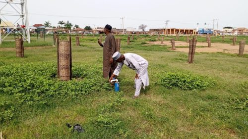 Watershed Restoration 1