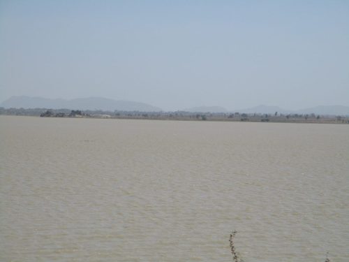 IMG 0056
