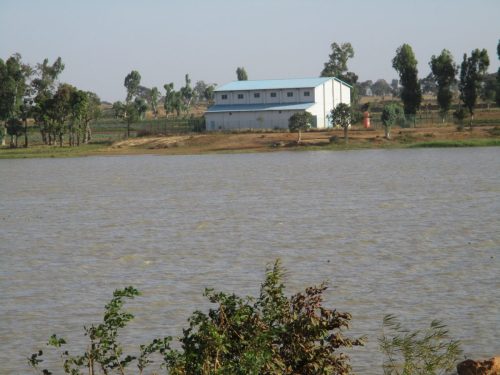 IMG 0067