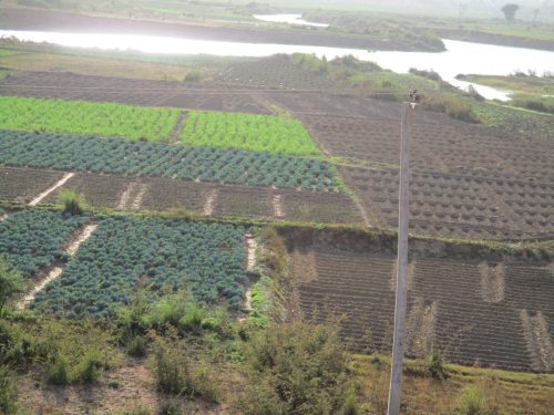 Watershed Restoration 5